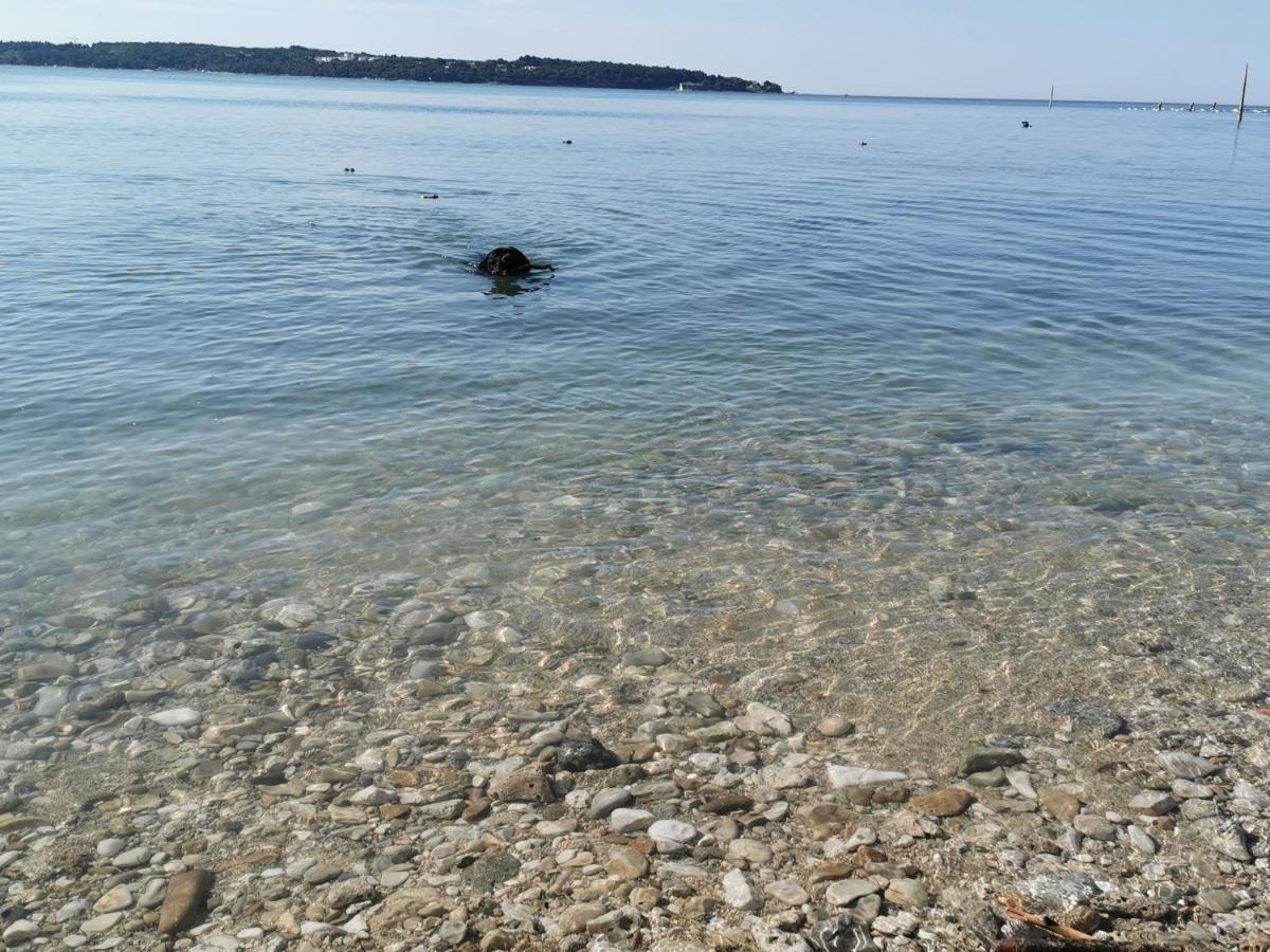 Mirta Deluxe Superior 5 Star Apartment, Your Piece Of Heaven By The Sea & Park, With Sea & Park View Novigrad  Luaran gambar