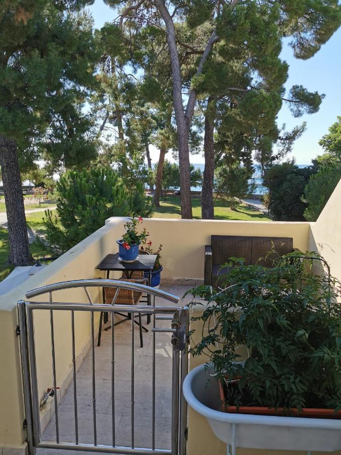 Mirta Deluxe Superior 5 Star Apartment, Your Piece Of Heaven By The Sea & Park, With Sea & Park View Novigrad  Luaran gambar